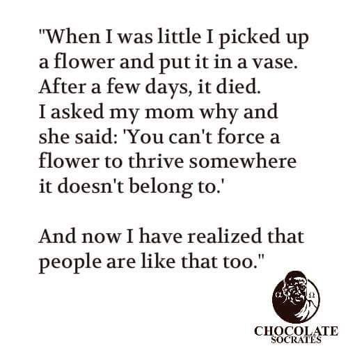 Photo is not mine. Credits to the owner.