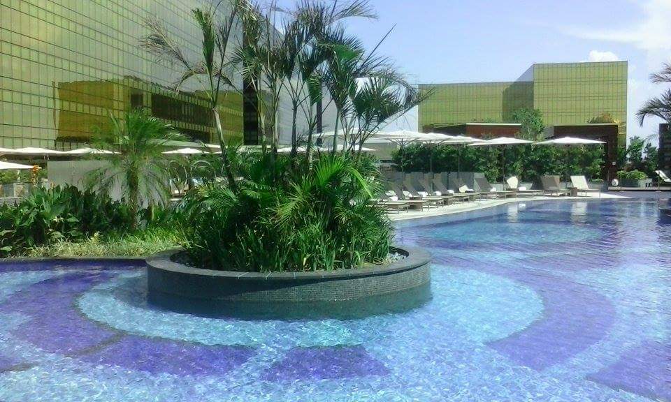 Trees that serve as a shade for the guests